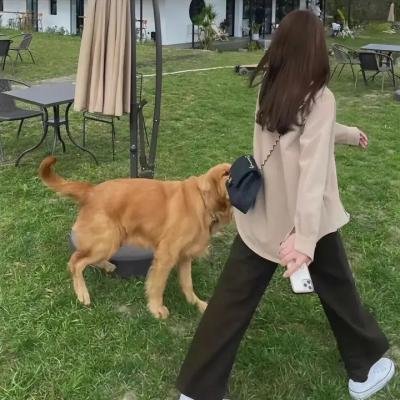 教会